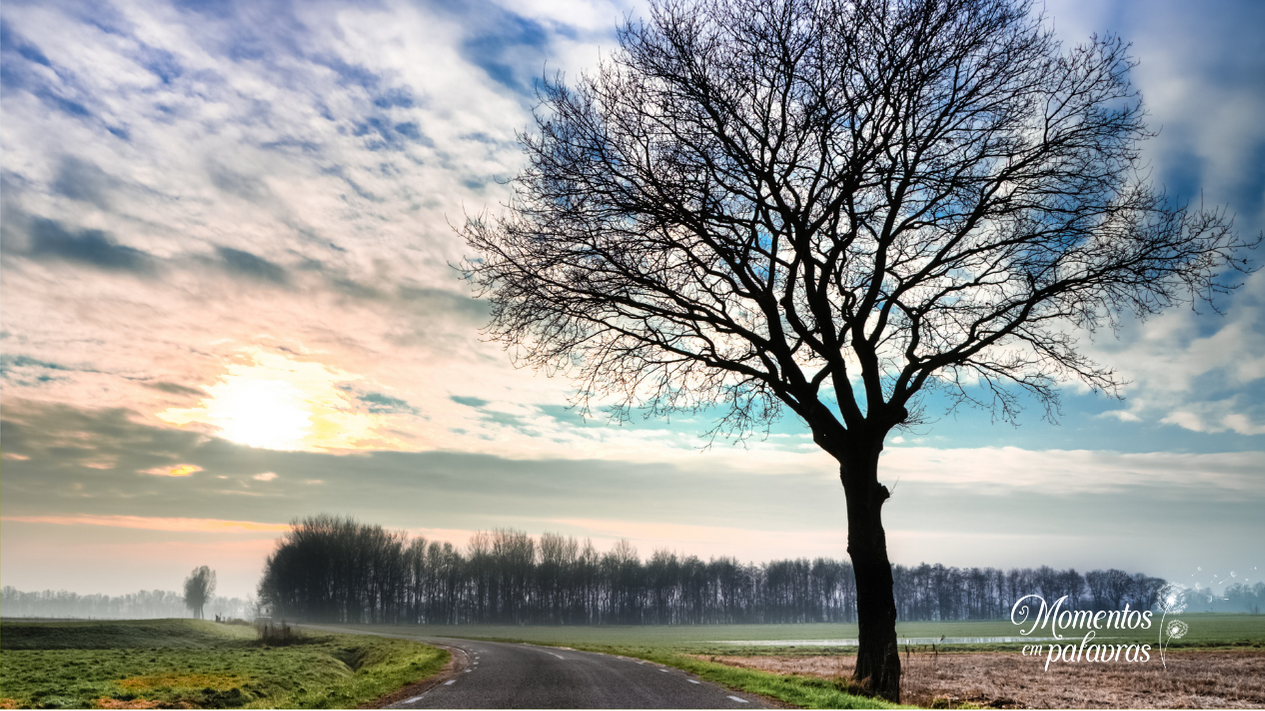 Tempestade – Momentos em Palavras, image size:1265x711