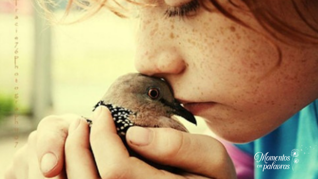 Criança segura passarinho em oração