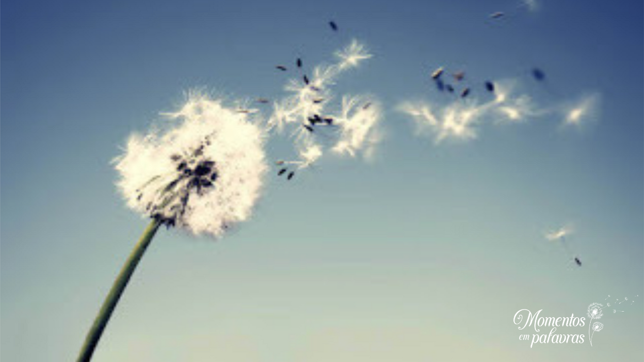 Como um dente-de-leão, espalhando bons desejos e ações